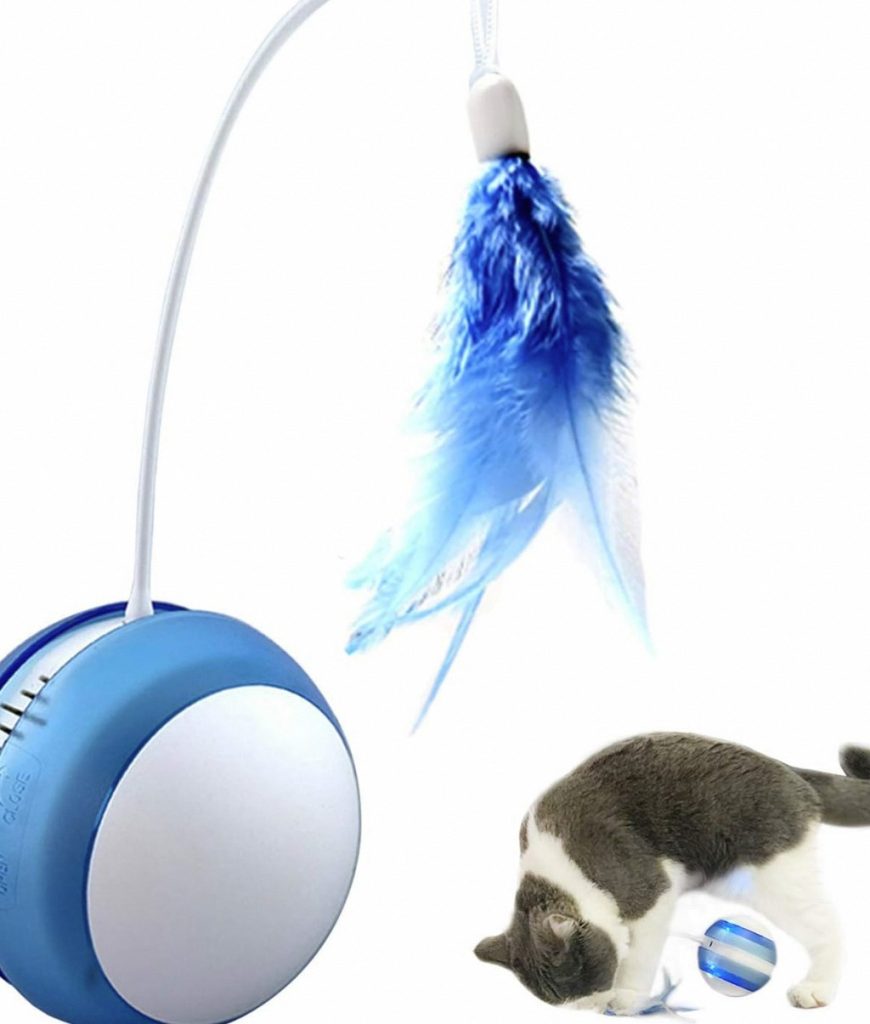 interactive  cat toy