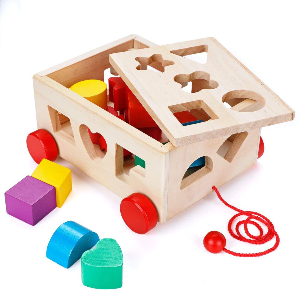 Educational wooden toyv