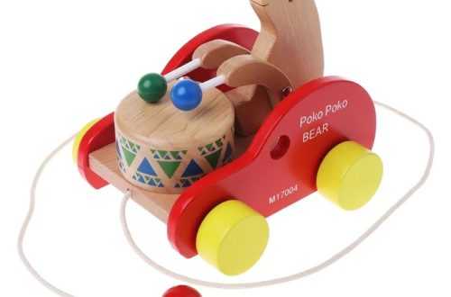 Wooden pull toys