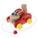 Wooden pull toys